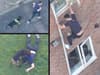 Watch the moment hero police dog captures fugitive who scaled drainpipe and tried to outrun pooch during chase